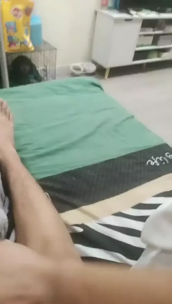 苏足模小妲己 居家小夫妻穿上白衬衣肉色丝袜 先口硬起来,再无套啪啪,最后射在肚子上