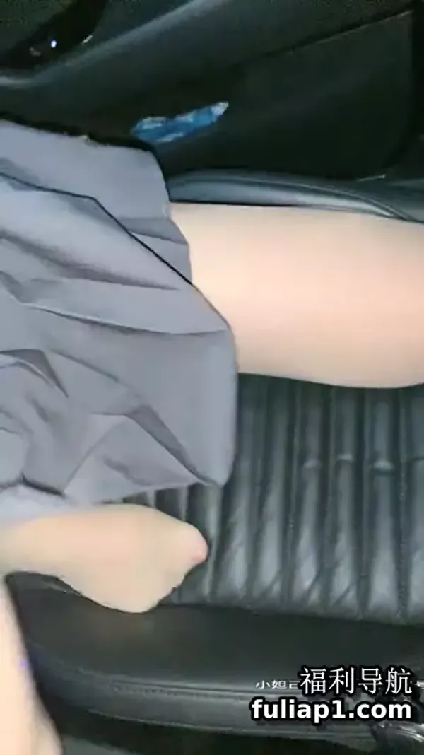 2020,12,20‖车震‖白POLO衫灰百褶裙‖肉丝‖户外车震_T