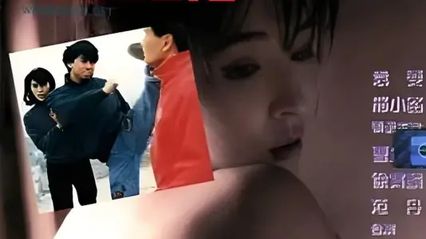 浪蝶狂花 国语中字 邢小路 叶晨